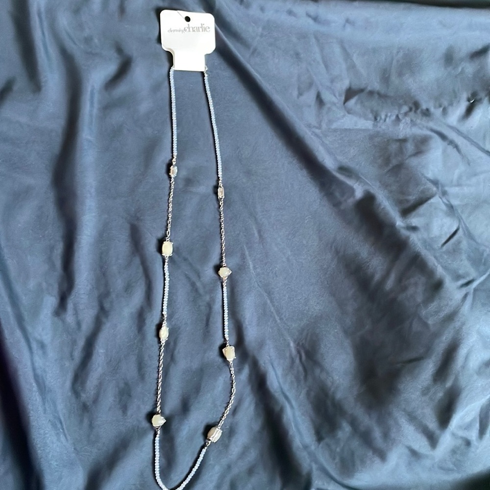 Charming Charlie necklace